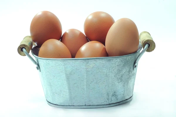 Telur diisolasi pada latar belakang putih — Stok Foto
