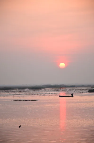 Sonnenaufgang über dem Meer aus rosa Lotus, Thailand — Stockfoto