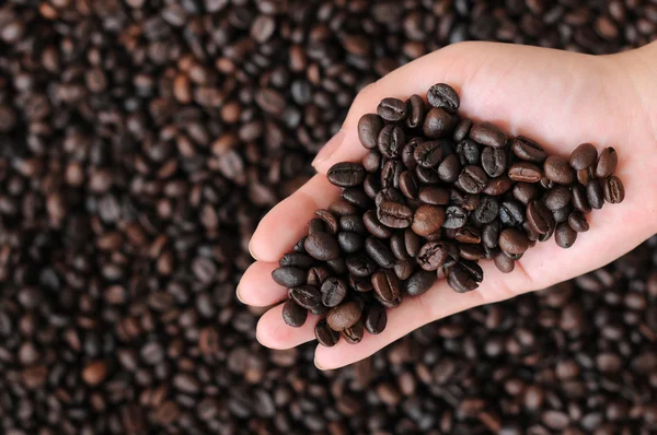 Grãos de café na mão — Fotografia de Stock