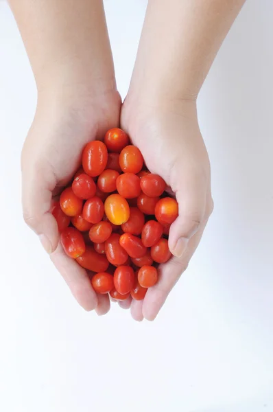 Käsillä olevat tomaatit — kuvapankkivalokuva
