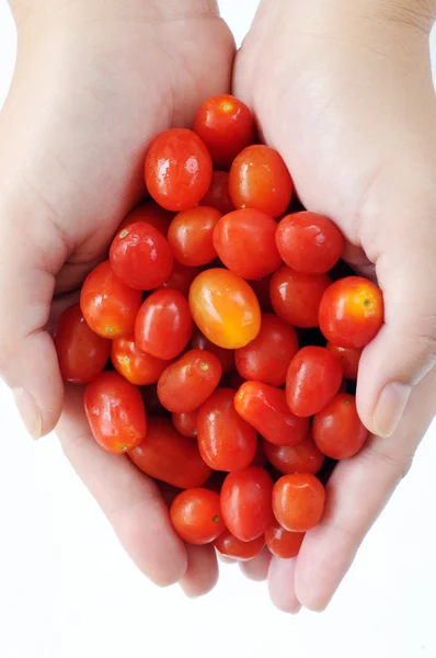 Tomates na mão — Fotografia de Stock