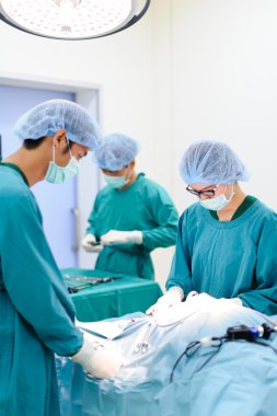 Veteriner cerrah operasyon odasında