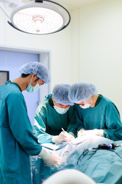 Veteriner cerrah operasyon odasında