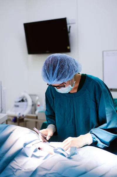 Portrait of veterinarian surgeons — Stock Photo, Image