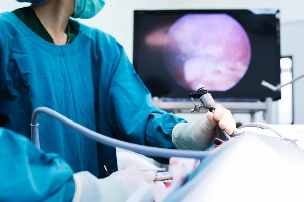 Médico veterinario en quirófano — Foto de Stock