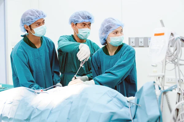 Médico veterinário na sala de operação — Fotografia de Stock