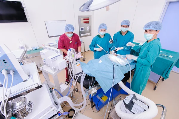 Dierenarts doctor in de operatie kamer — Stockfoto