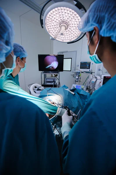 Médico veterinario en quirófano — Foto de Stock