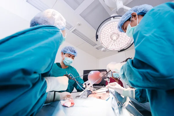 Chirurgie vétérinaire en salle d'opération — Photo