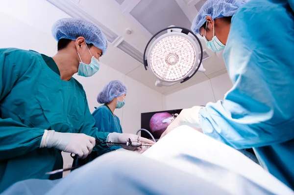 Veterinarian surgery in operation room — Stock Photo, Image