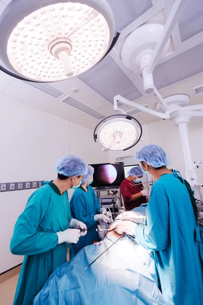 Médico veterinário em sala de operação para cirurgia laparoscópica — Fotografia de Stock