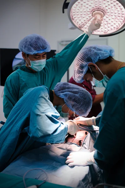 Veterinarian surgeons in operation room — Stock Photo, Image