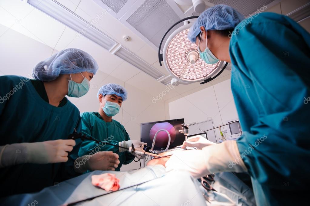 Veterinarian surgery in operation room