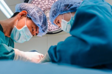 İki hayvan hastalıklarıyla ilgili cerrahlar