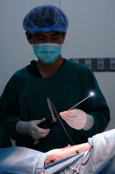 Médico veterinário na sala de operação — Fotografia de Stock