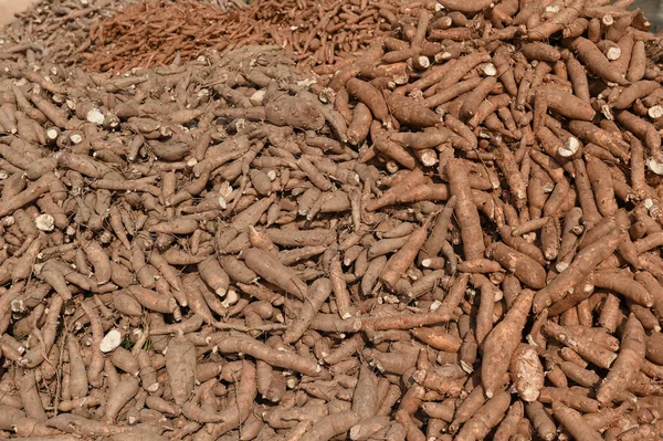 Viele Cassavas zum Verkauf auf dem Markt — Stockfoto