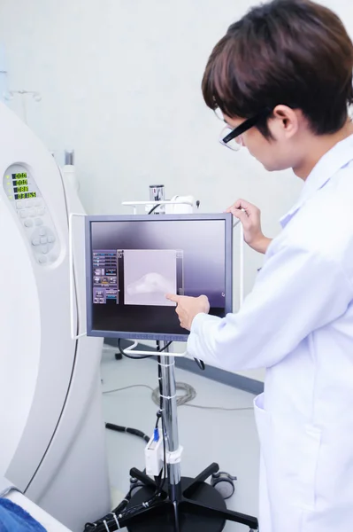 Veterinarian doctor working — Stock Photo, Image