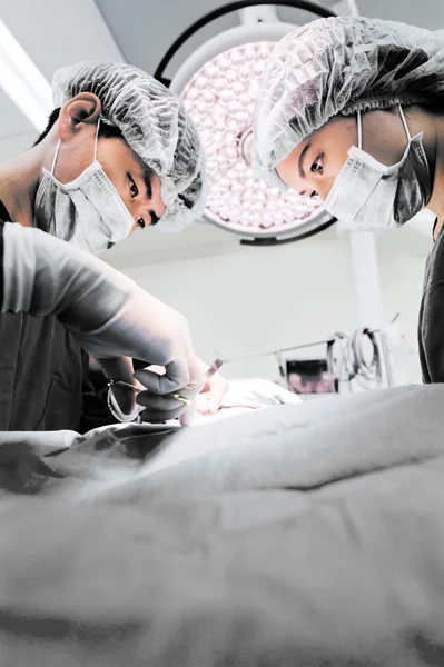 Veterinarian surgeons in operation room — Stock Photo, Image