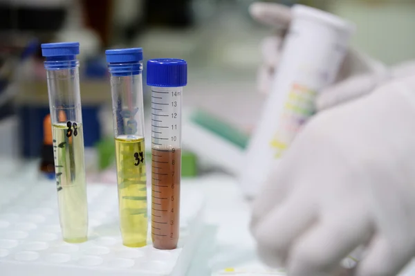 Científico haciendo prueba química —  Fotos de Stock