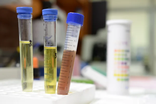 Cientista fazendo teste químico — Fotografia de Stock