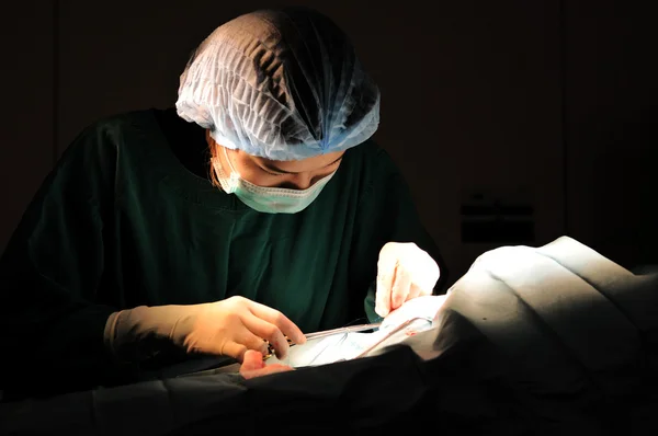 Médecin vétérinaire en salle d'opération — Photo