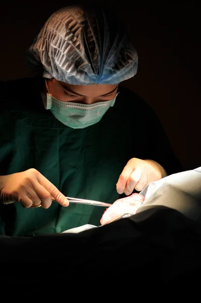 Eläinlääkäri leikkaussalissa — kuvapankkivalokuva