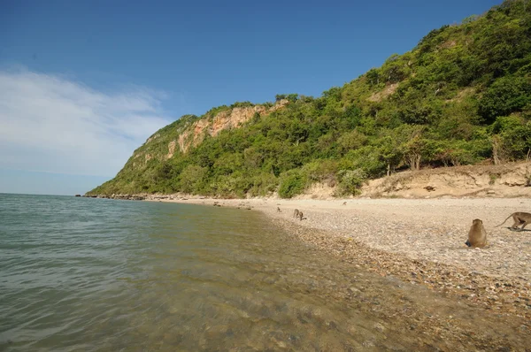 L'isola in Thailandia — Foto Stock