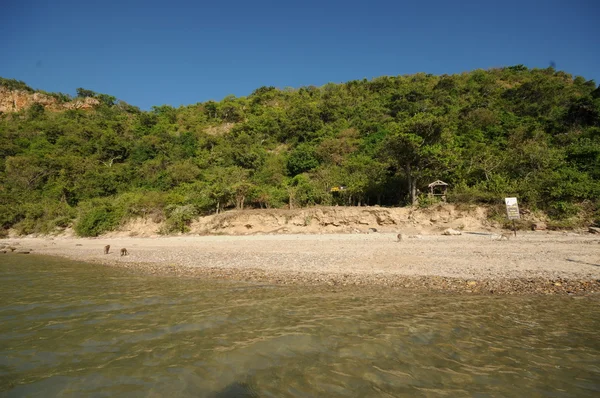 L'isola in Thailandia — Foto Stock