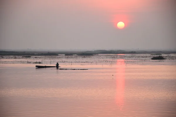 Sunrise over the sea of pink lotus, Thailand — Stock Photo, Image