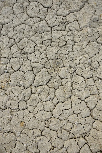 Dry cracked ground — Stock Photo, Image