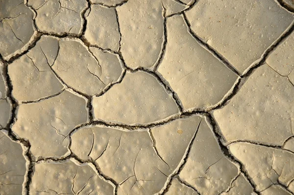 Dry cracked ground — Stock Photo, Image