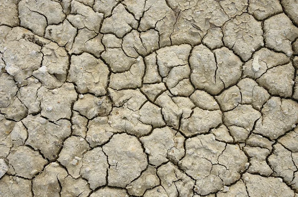 Dry cracked ground — Stock Photo, Image