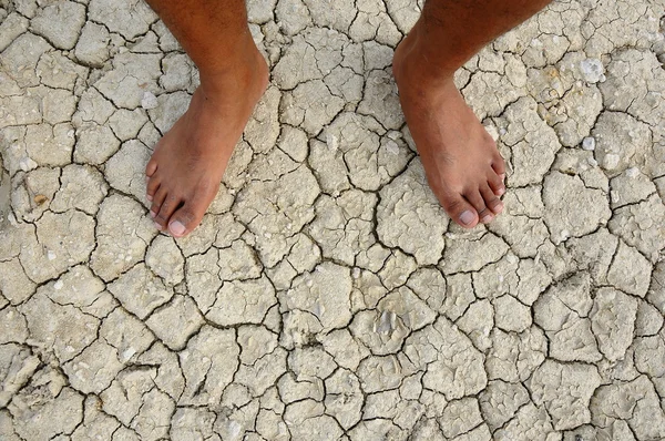 Dry and cracked earth — Stock Photo, Image