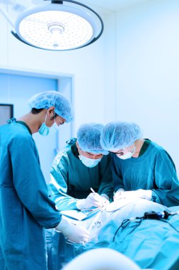 Veteriner cerrah operasyon odasında