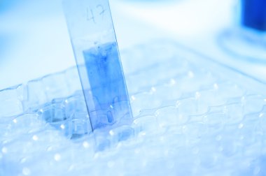 Laboratuvar mikroskop için test kan