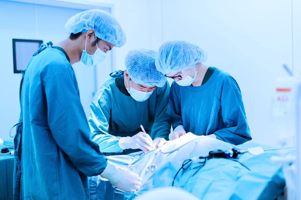 Cirurgiões veterinários na sala de operações — Fotografia de Stock