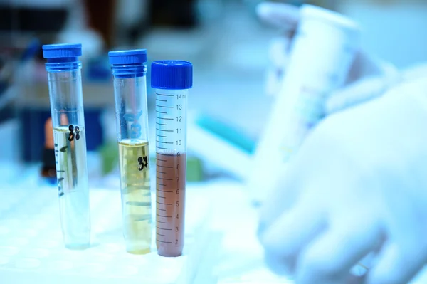 Scientist doing chemical test in laboratory — Stock Photo, Image