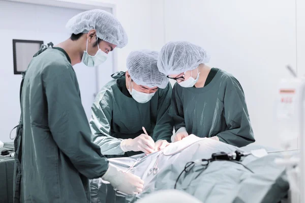 Cirurgiões veterinários na sala de operações — Fotografia de Stock