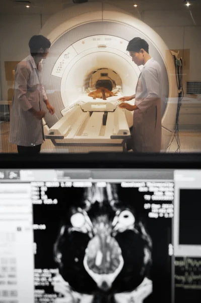 Κτηνίατρος ιατρός που εργάζεται στη μαγνητική τομογραφία σαρωτή δωμάτιο με moniter προσκηνίου — Φωτογραφία Αρχείου