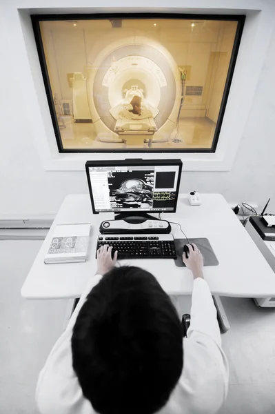 Veterinarian doctor with MRI computer control — Stock Photo, Image