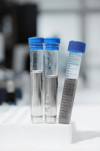 Scientist doing chemical test in laboratory — Stock Photo, Image