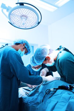 Veteriner cerrah operasyon odasında