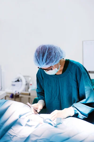 Dierenarts chirurgen in operatie kamer — Stockfoto