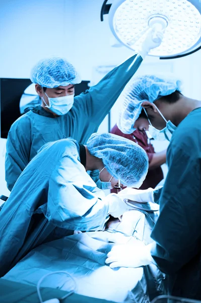 Veterinär-kirurgar i drift rum — Stockfoto