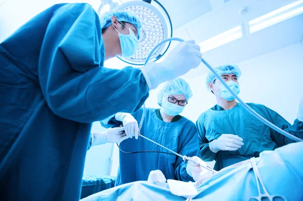 Laparoskopik cerrahi için veteriner doktor ameliyathanede.