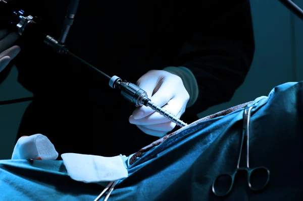 Laparoskopik cerrahi için veteriner doktor ameliyathanede. — Stok fotoğraf