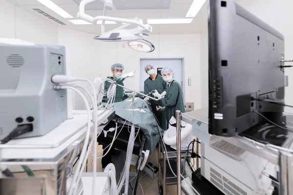 Médico veterinário em sala de operação para cirurgia laparoscópica — Fotografia de Stock