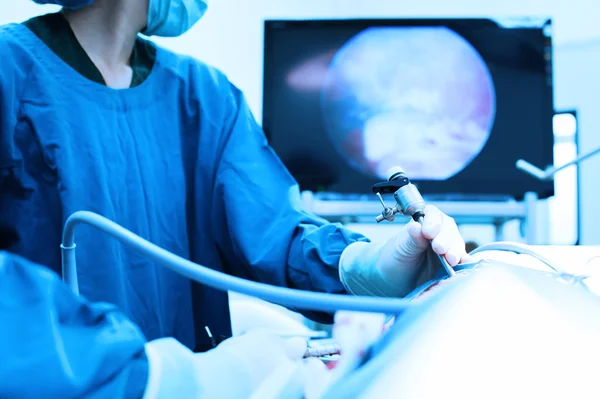 Laparoskopik cerrahi için veteriner doktor ameliyathanede.