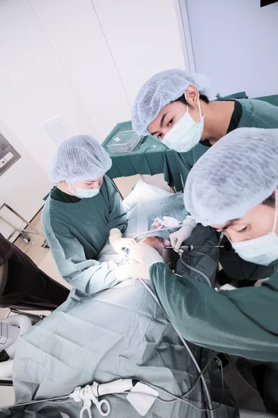 Veterinarian doctor in operation room for laparoscopic surgical — Stock Photo, Image