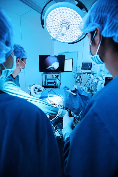 Médico veterinário em sala de operação para cirurgia laparoscópica — Fotografia de Stock